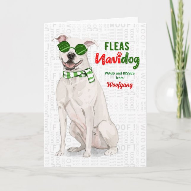 From the Dog White Pit Bull Dog Fleas Navidog  Holiday Card (Front)