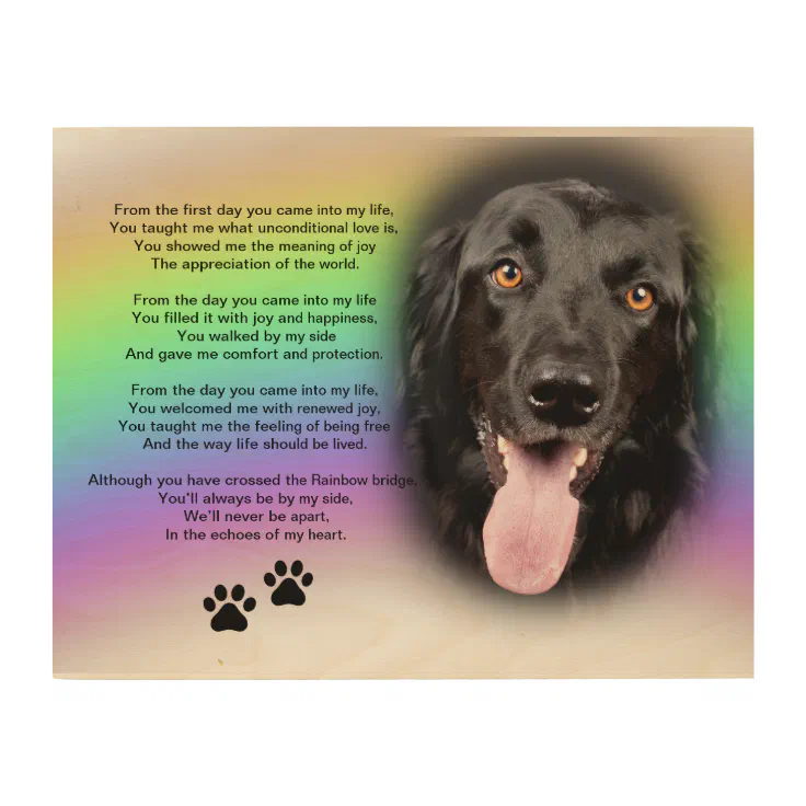 From the first day you came into my life' ~ Dog Wood Wall Art | Zazzle