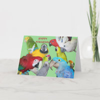 From the Flock Birthday