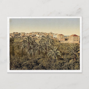 From the garden, Jaffa, Holy Land, (i.e. Israel) c Postcard