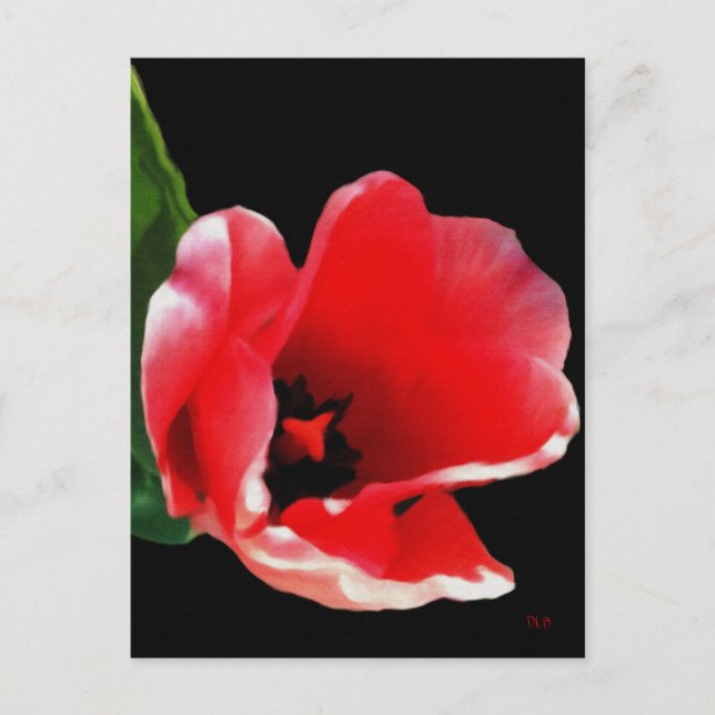 From The Garden Postcards (Front)