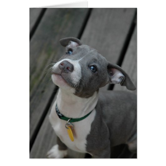 From the heart (Front)