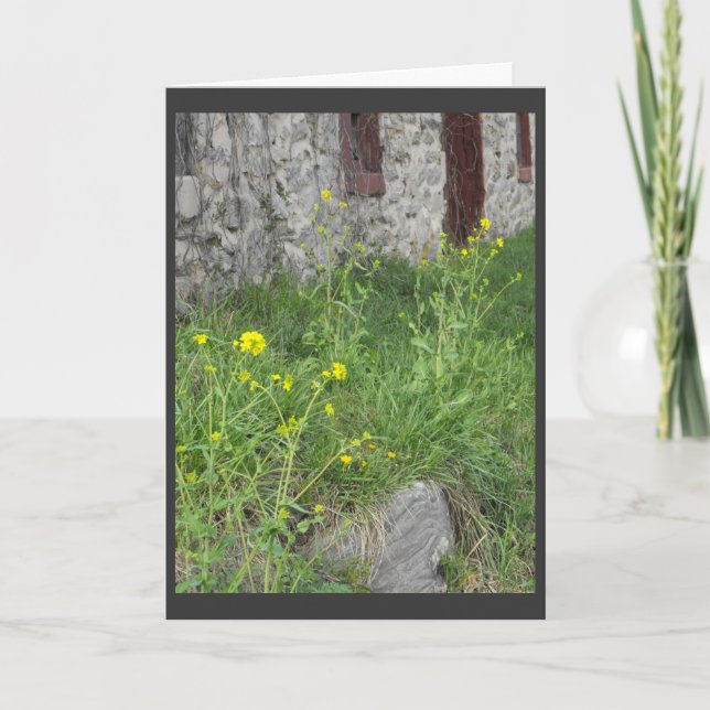 ..from the parent.. 3 holiday card (Front)