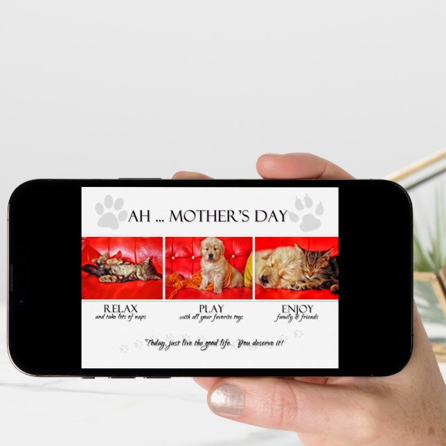 from the Pets on Mother's Day Fun Kitten and Puppy Card (Front Digital)