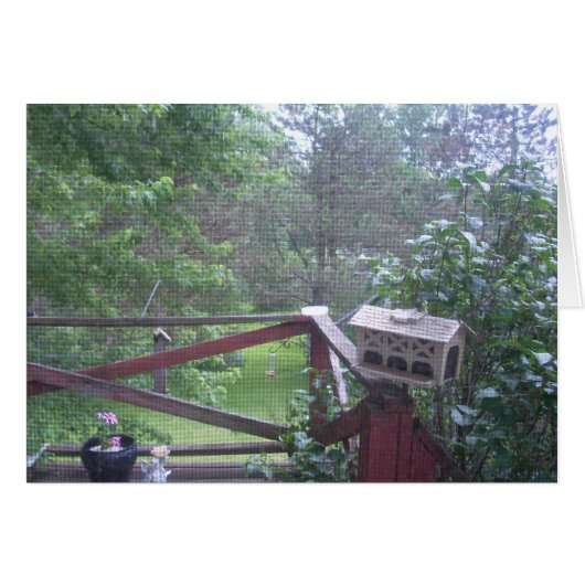 From the Porch Door (Front Horizontal)