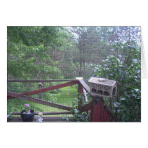 From the Porch Door