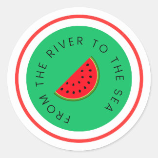 From The River To The Sea Classic Round Sticker