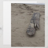 From the Sea (Front/Back)