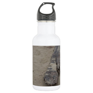 From the Sea Stainless Steel Water Bottle