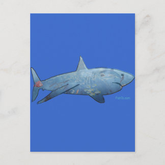 From the Sharks Collection Postcard