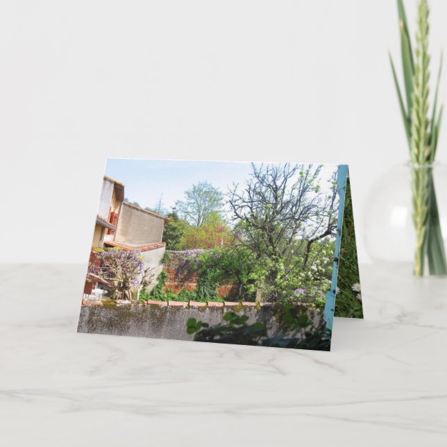 From the window ! card (Front)