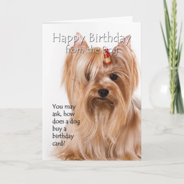 From the Yorkie Card (Front)