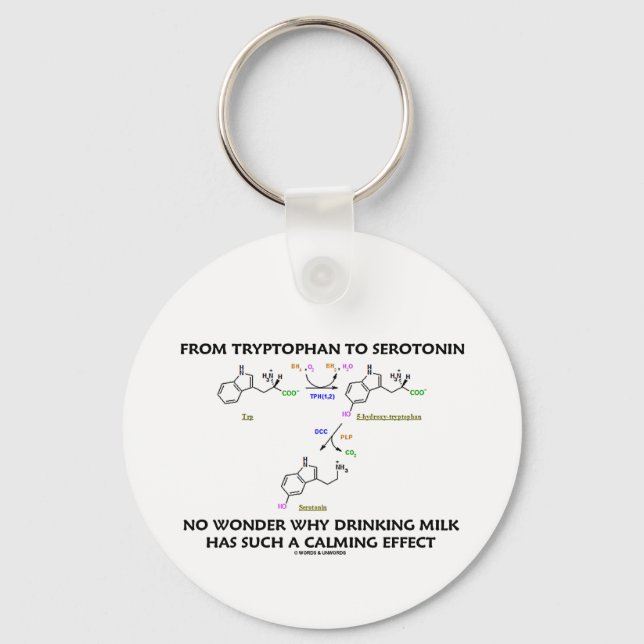 From Tryptophan To Serotonin (Chemistry Humor) Keychain (Front)