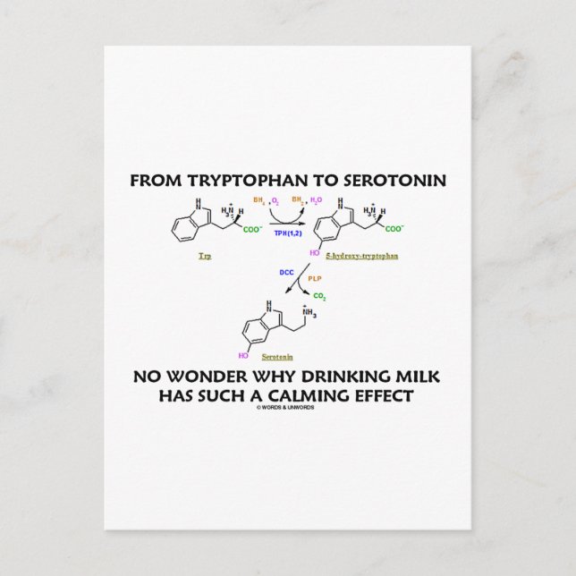 From Tryptophan To Serotonin (Chemistry Humor) Postcard (Front)