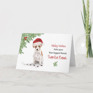 From Wire Haired Jack Russell Terrier Christmas Card
