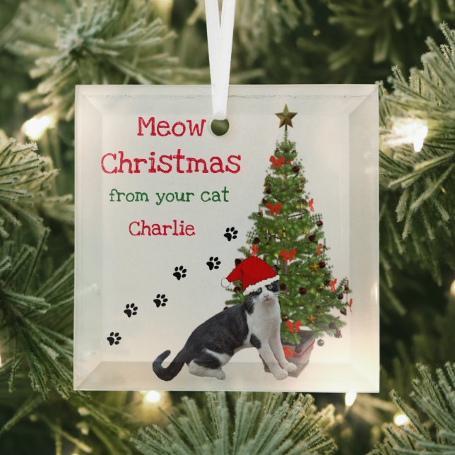 From Your Cat Christmas Ornament (Insitu)