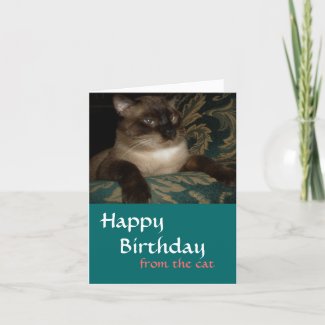 From Your Cat - Siamese Cat Birthday Card