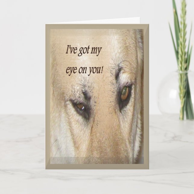 From your Secret Pal Card (Front)