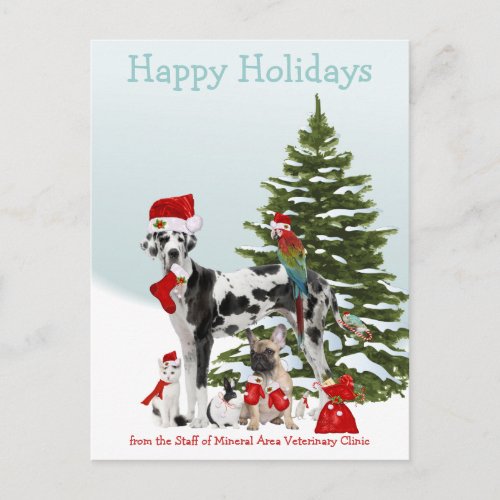 From Your Veterinarian Santa Pets Holiday Postcard