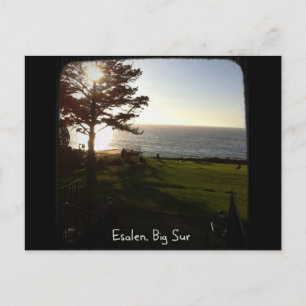 Front lawn at Esalen, Big Sur Postcard