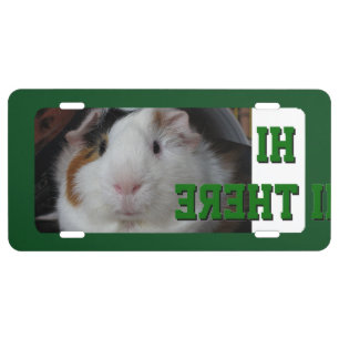 Front plate guinea pig