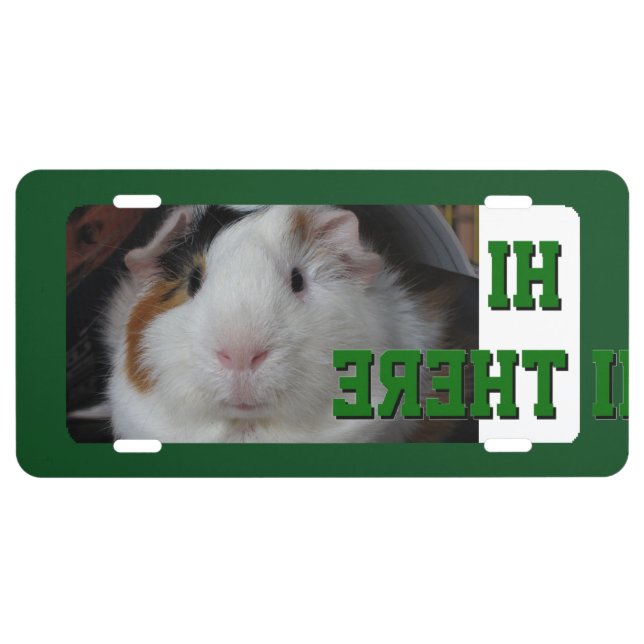 Front plate guinea pig (Front)