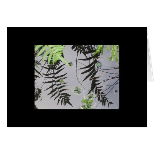 Front Reflections (Front Horizontal)