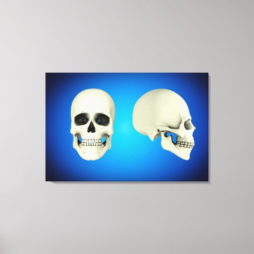 Front View And Side View Of Human Skull Canvas Print