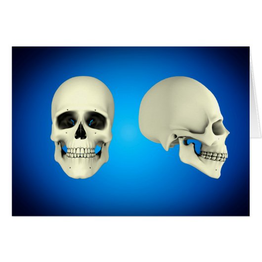 Front View And Side View Of Human Skull Cards (Front Horizontal)