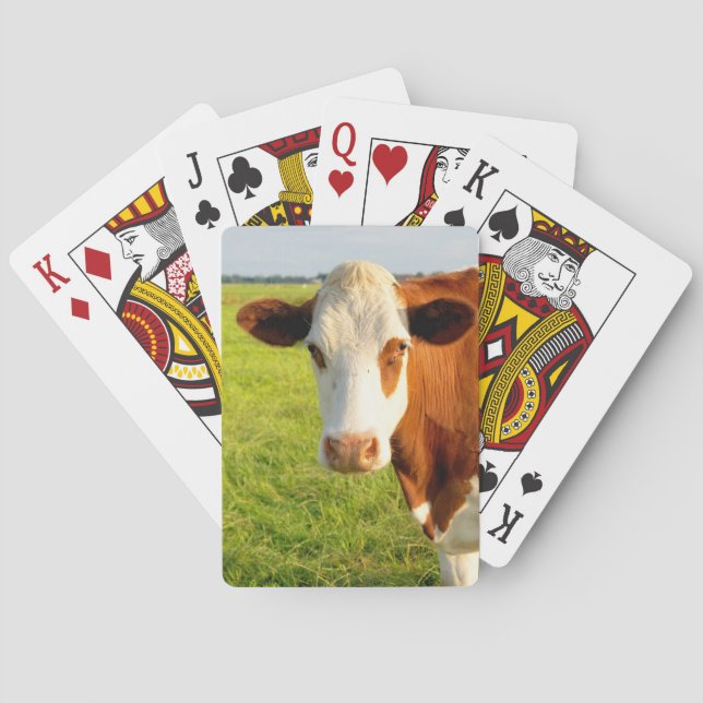 Front view Friesian cow Poker Cards (Back)