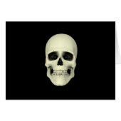 Front View Of Human Skull (Front Horizontal)