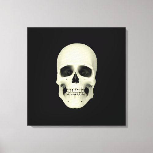 Front View Of Human Skull Canvas Print