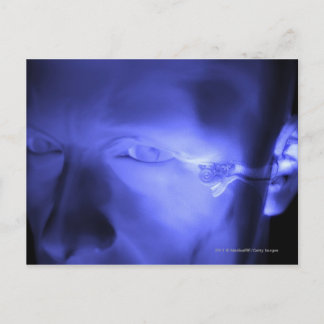 Front view of the inner ear postcard