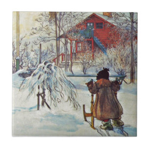 Front Yard and Wash House Tile