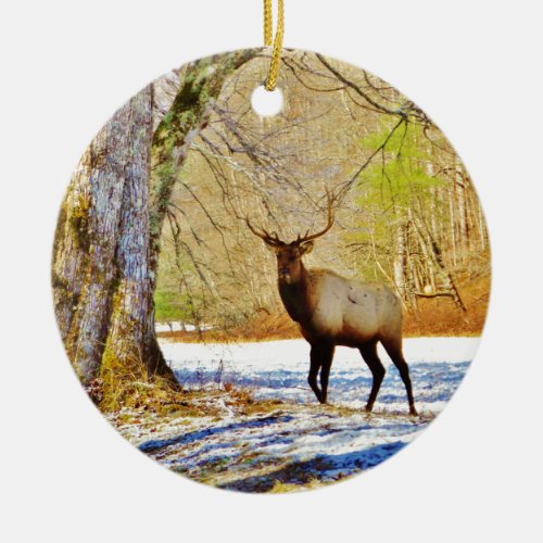  frontal Bull elk in Snow Ceramic Ornament