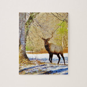 > frontal Bull elk in Snow Jigsaw Puzzle
