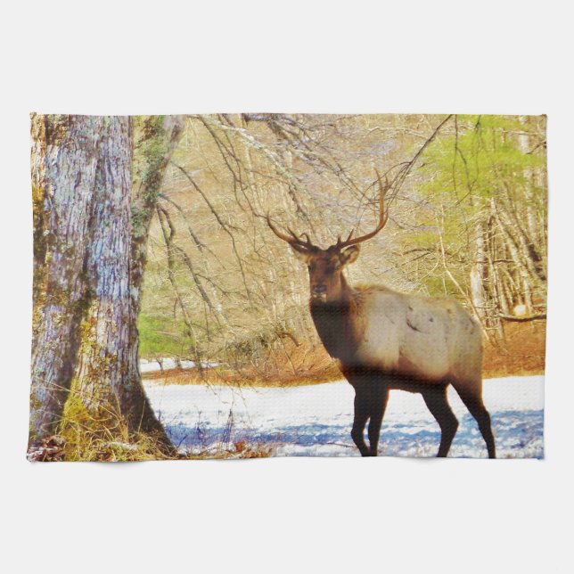 > frontal Bull elk in Snow Towel (Horizontal)