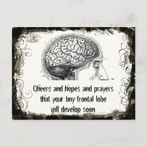 Frontal Lobe Haiku Postcards