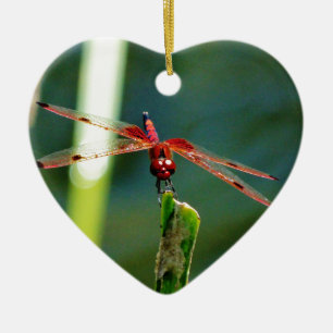 Frontal Red and Black Dragonfly Ceramic Ornament