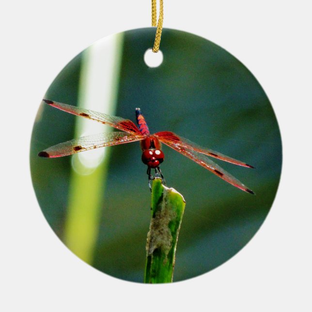 Frontal Red and Black Dragonfly Ceramic Ornament (Front)