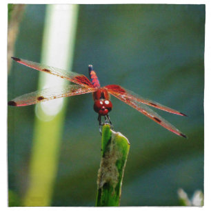 Frontal Red and Black Dragonfly Cloth Napkin