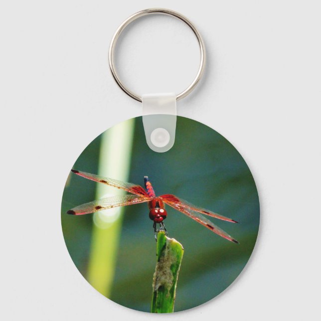 Frontal Red and Black Dragonfly Keychain (Front)