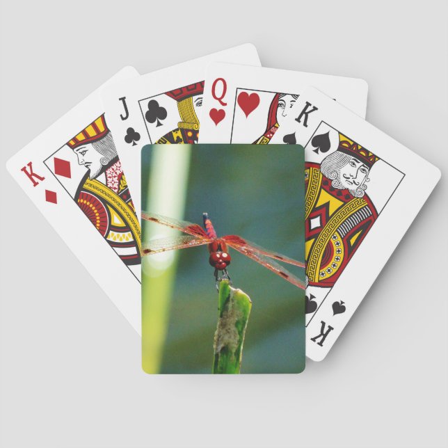 Frontal Red and Black Dragonfly Poker Cards (Back)