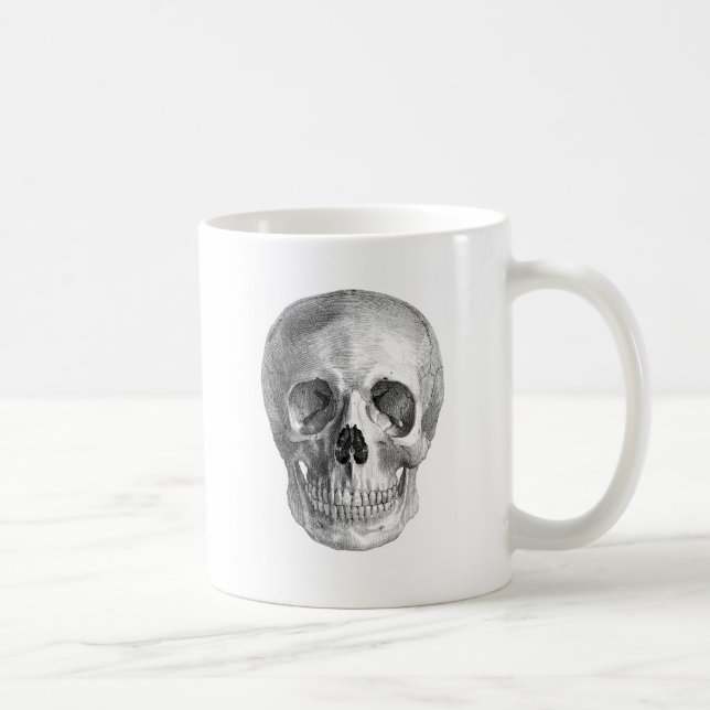 Frontal view drawing of a human skull coffee mug (Right)