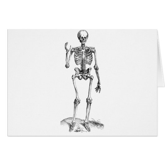 Frontal vintage drawing of a waving skeleton cards (Front Horizontal)