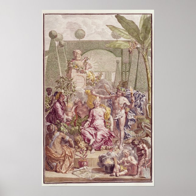 Frontispiece of 'Hortus Cliffortianus' by Carl Poster (Front)