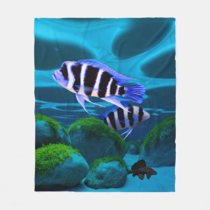 Frontosa Cichlid Plecostomus Aquarium Fish  Fleece Blanket