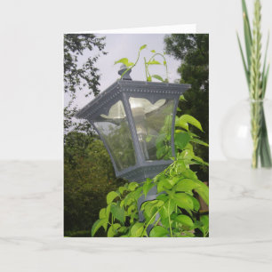 "Frontyard Streetlight" Birthday Card