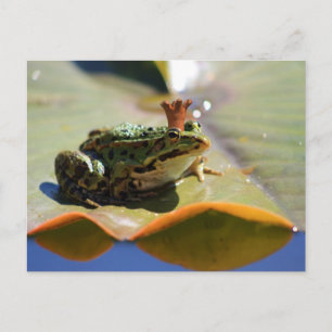 Froschkönig Postcard