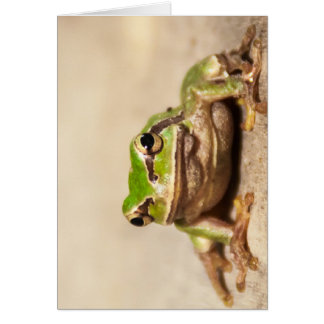 FROSE CARDS